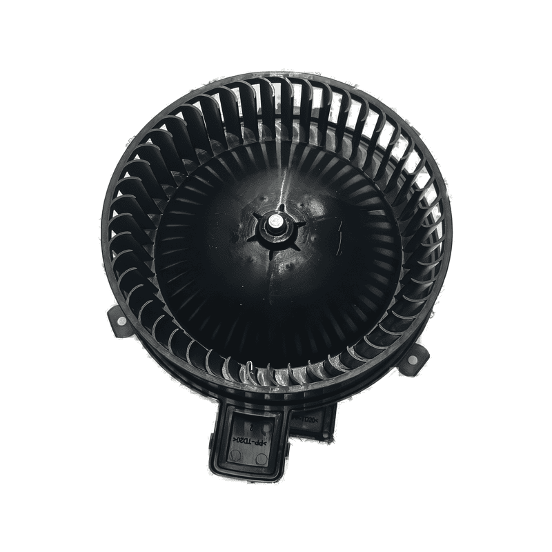 Blower Motor With Module DYW7084