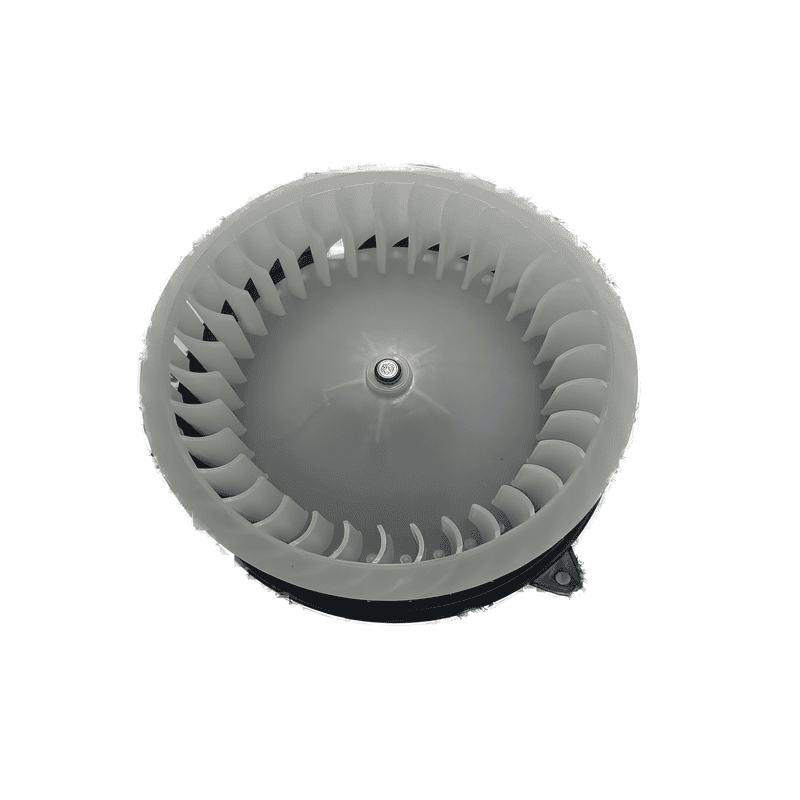 Blower Motor With Module DYW8592