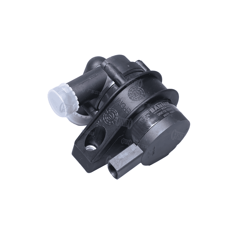 Auxiliary Water Pump
