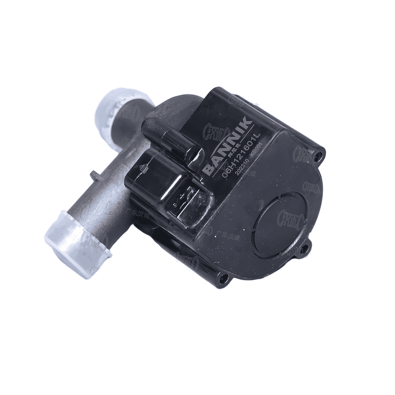 Auxiliary Water Pump