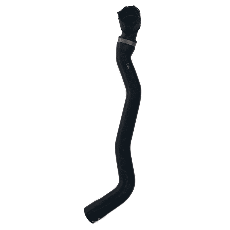 Lower Radiator Hose