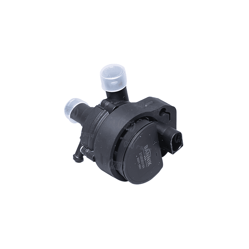 Auxiliary Water Pump