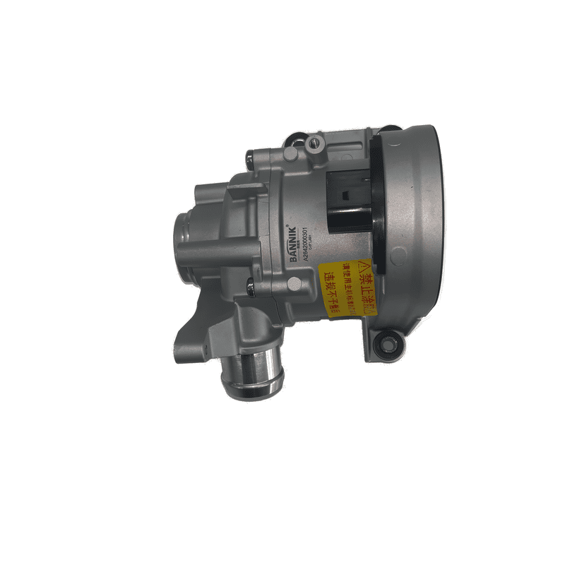 Electric Water Pump
