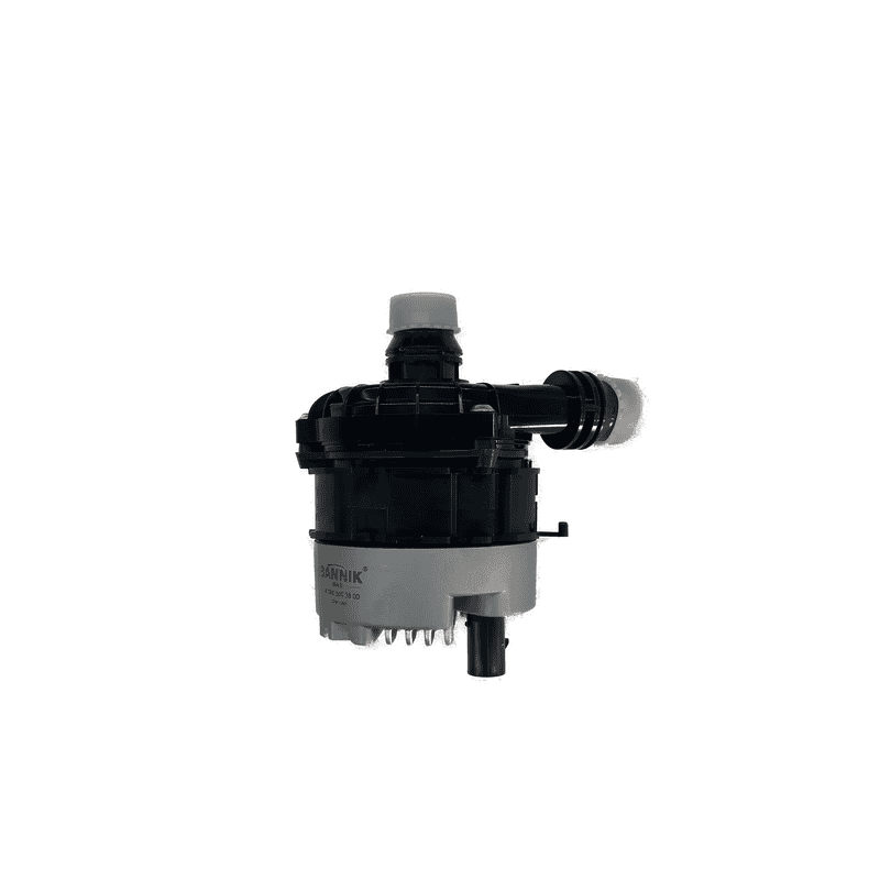 Auxiliary Water Pump