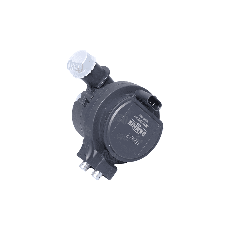 Auxiliary Water Pump 41614E