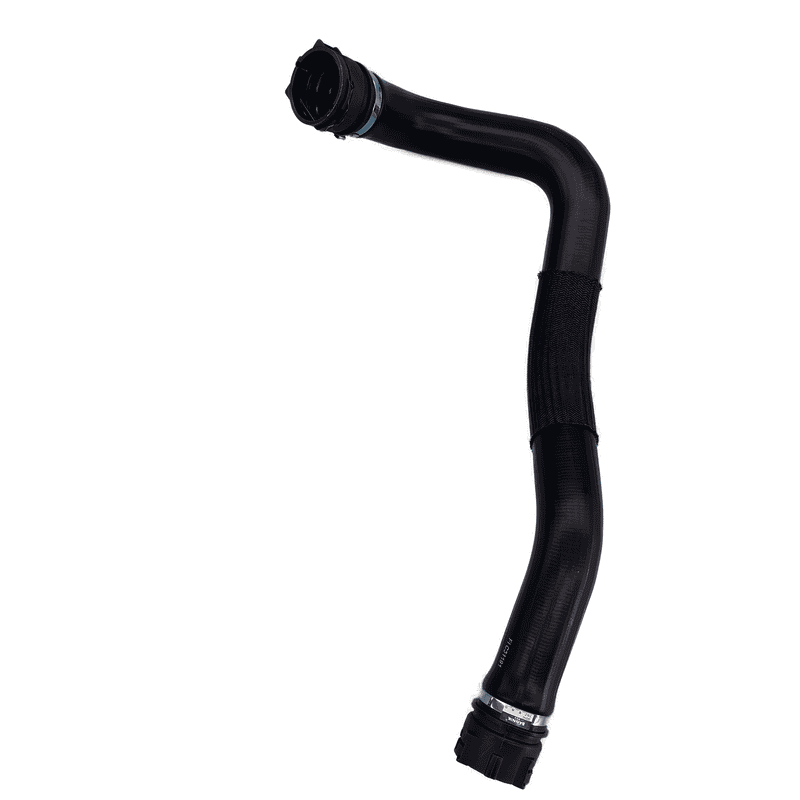 Lower Radiator Hose