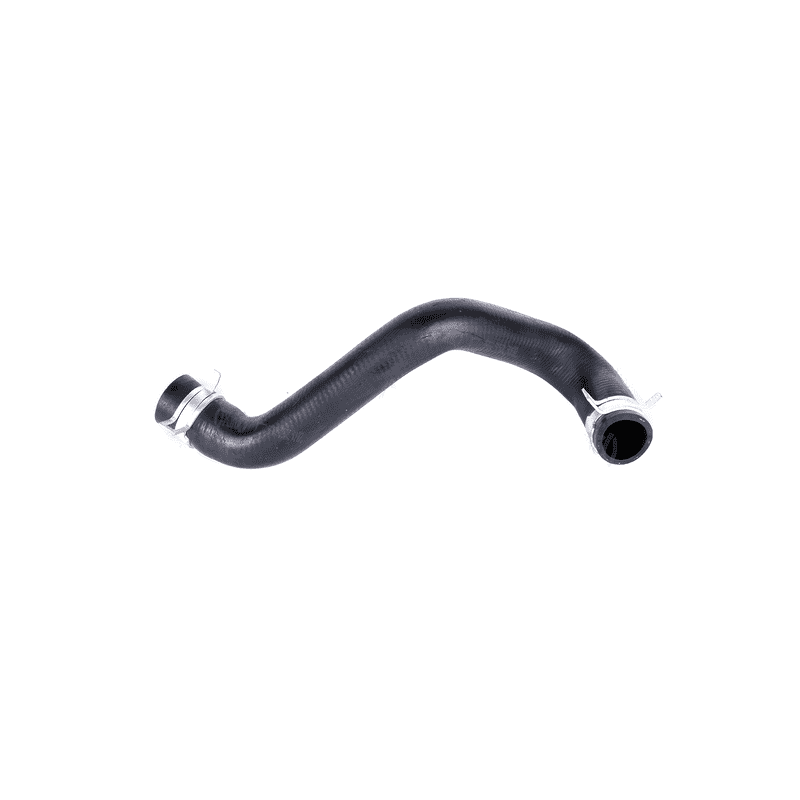 Lower Radiator Hose to Engine MT