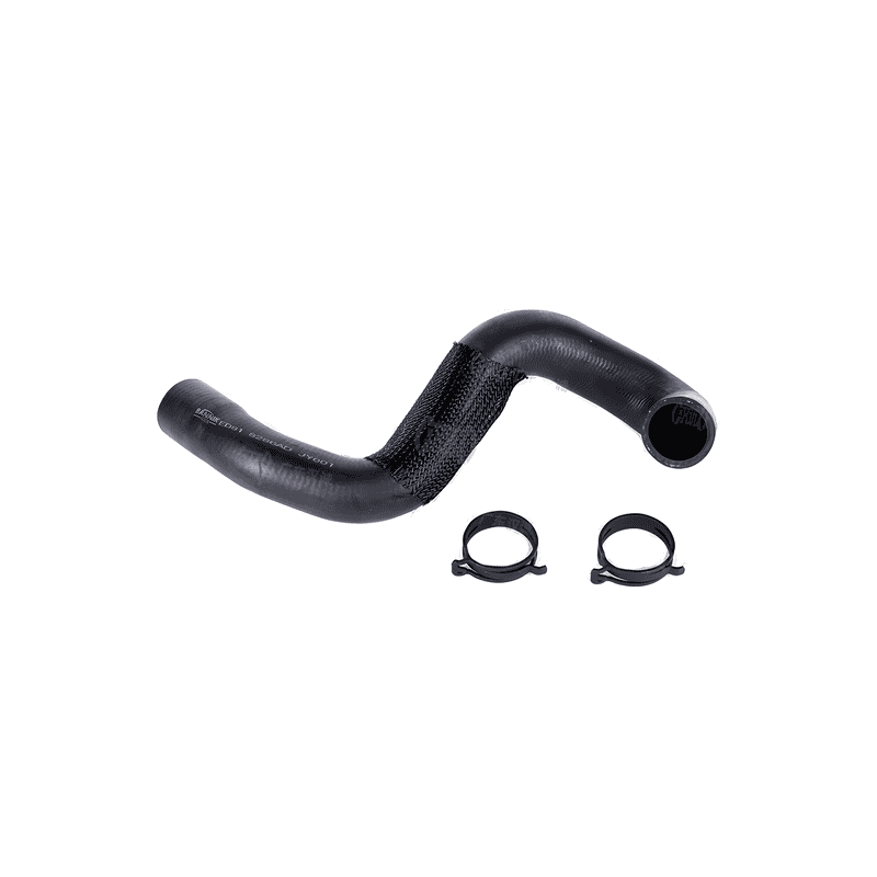 Lower Radiator Hose to Radiator