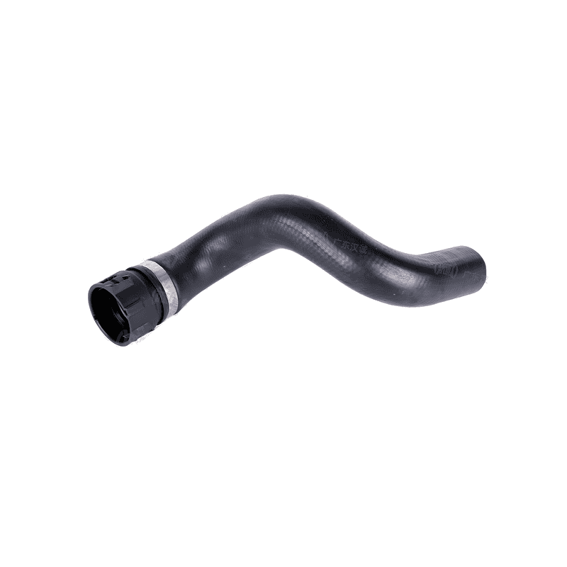 Lower Radiator Hose to Pump