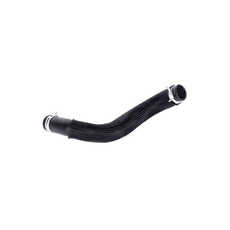 Lower Radiator Hose