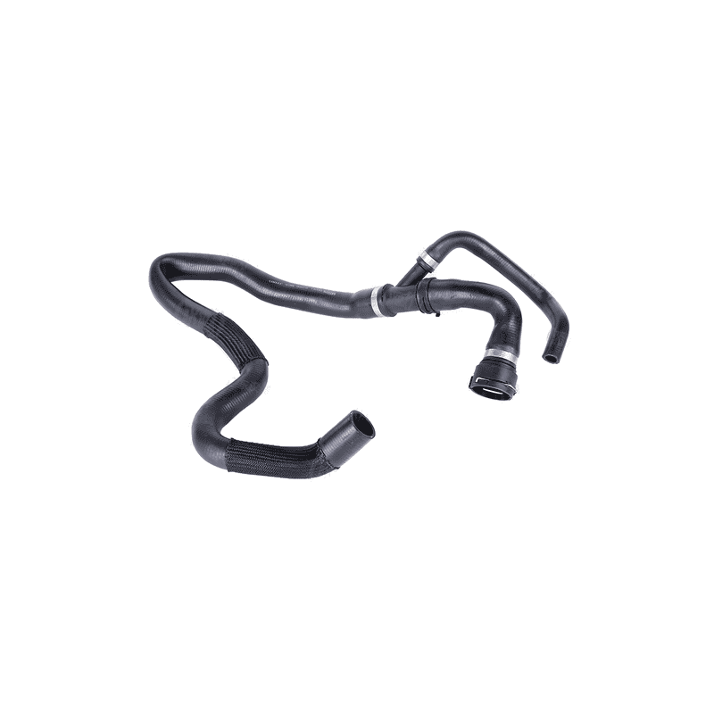 Lower Radiator Hose to Radiator