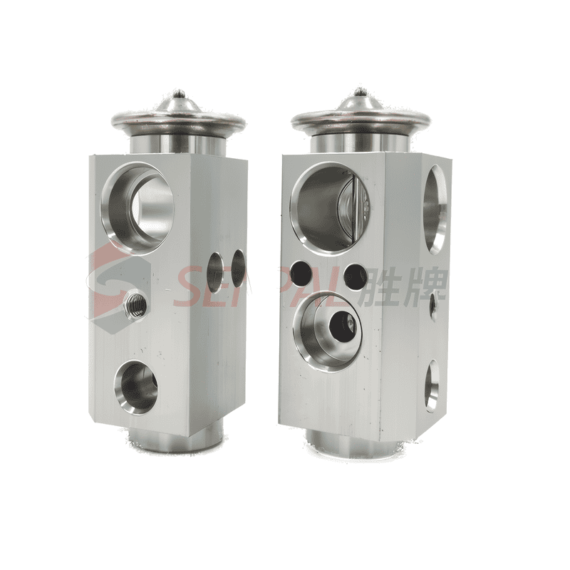 AC Expansion Valve 5002