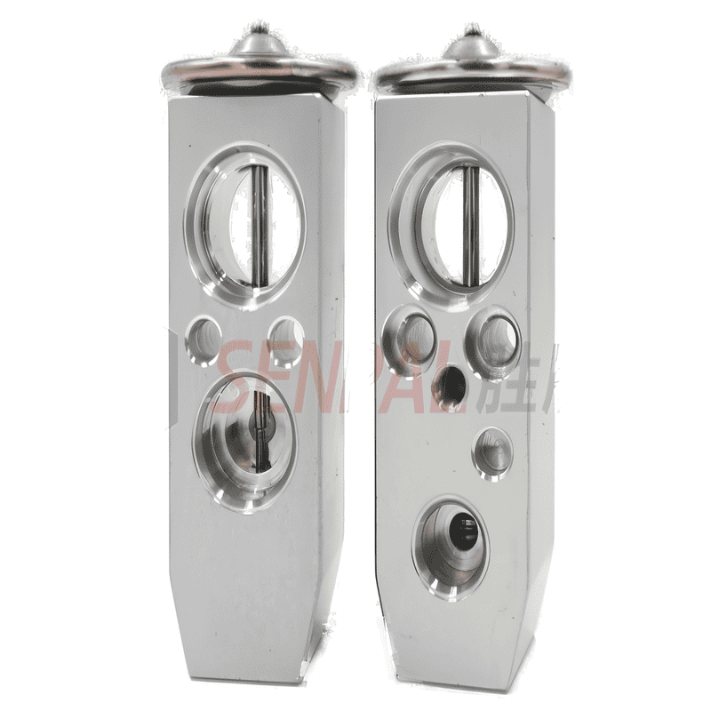 AC Expansion Valve 5009
