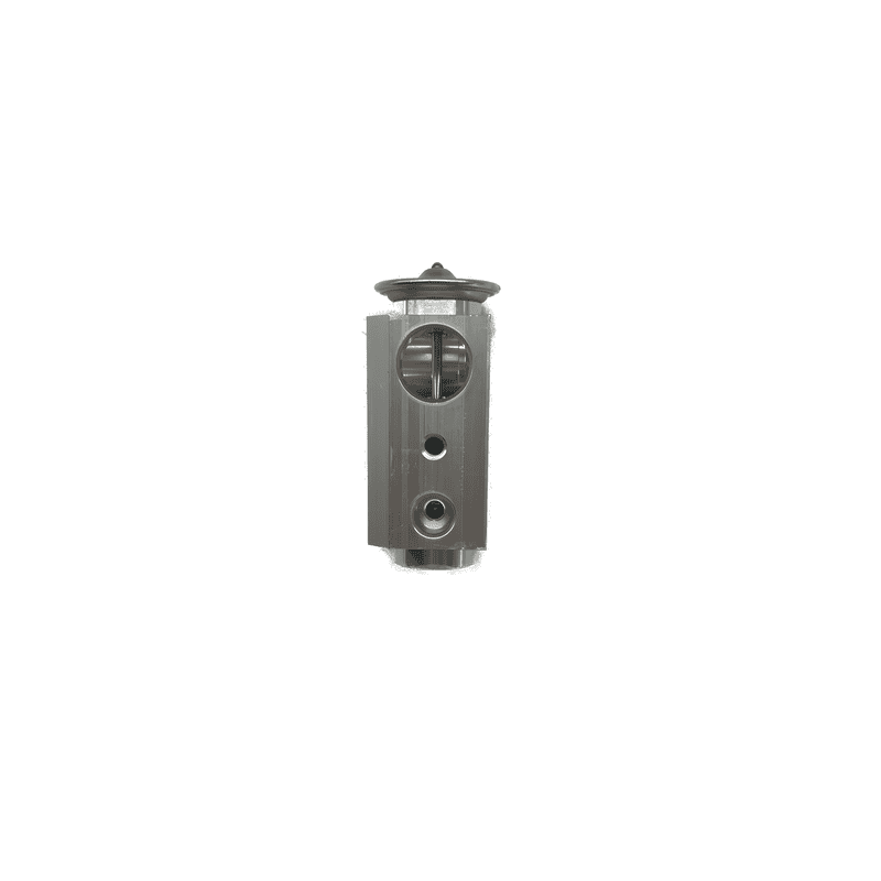 AC Expansion Valve 5007