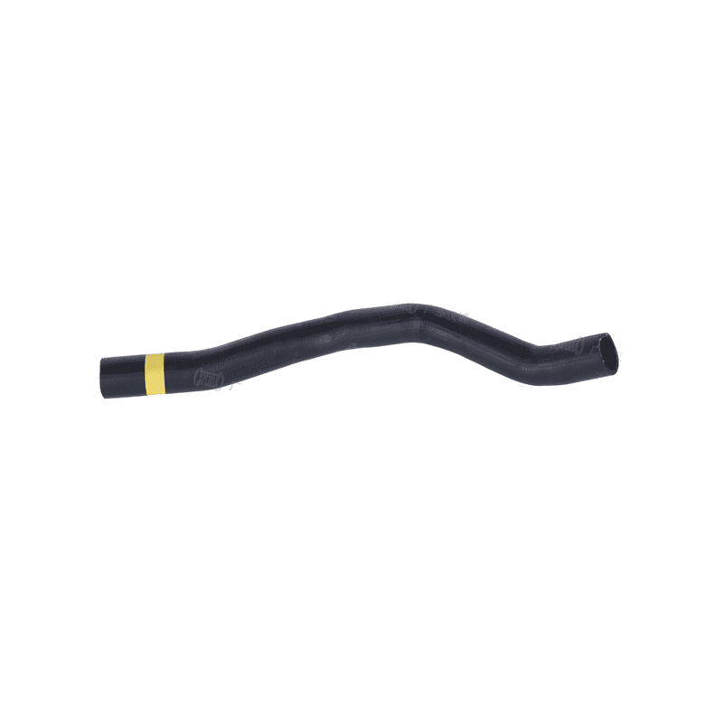 Lower Radiator Hose