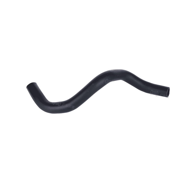 Lower Radiator Hose