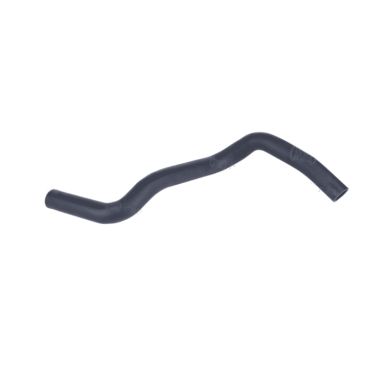 Lower Radiator Hose