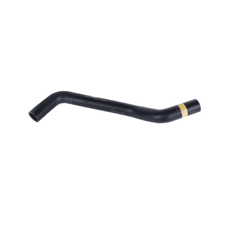 Lower Radiator Hose