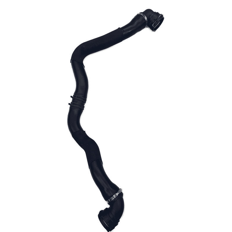 Lower Radiator Hose