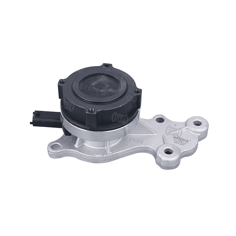Water Pump Electric with Sensor GWP4098P