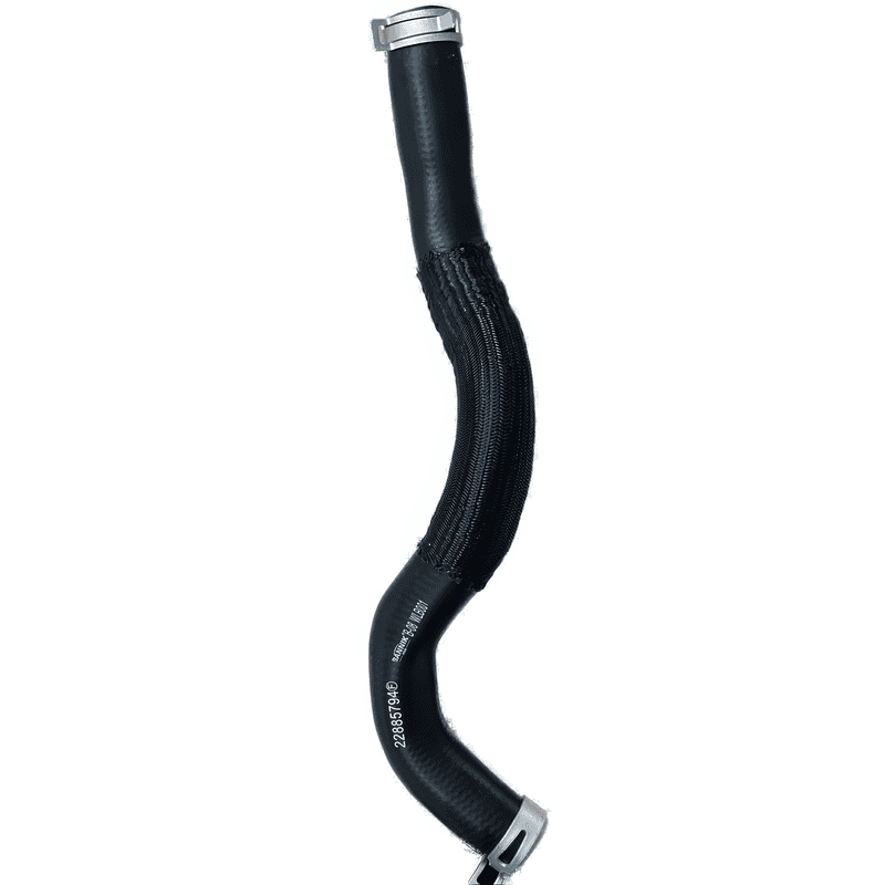 Lower Radiator Hose