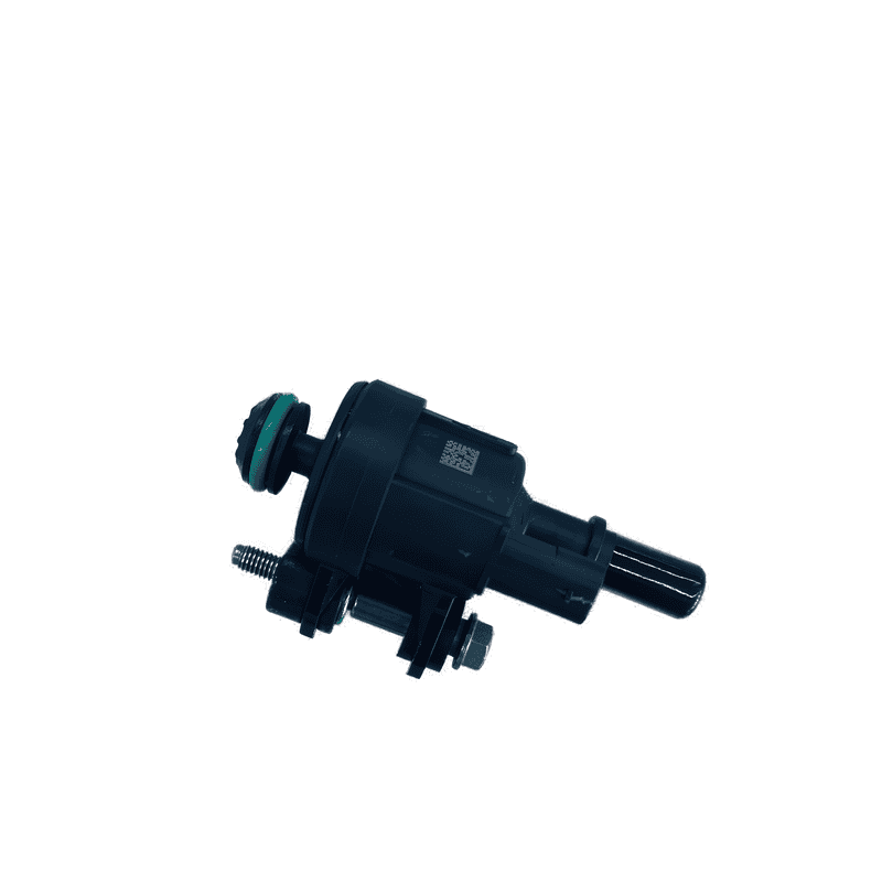 Canister Purge Solenoid