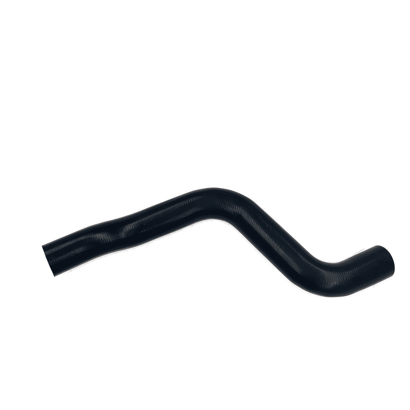 Lower Radiator Hose to Engine Section 2