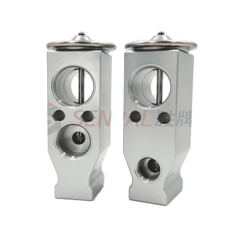 AC Expansion Valve 5004
