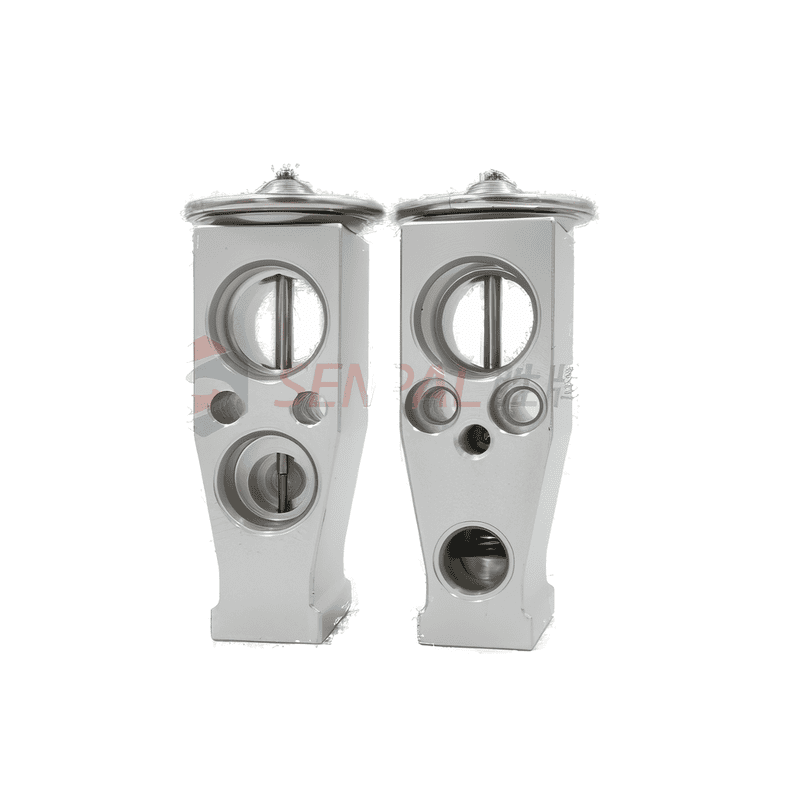 AC Expansion Valve 5013