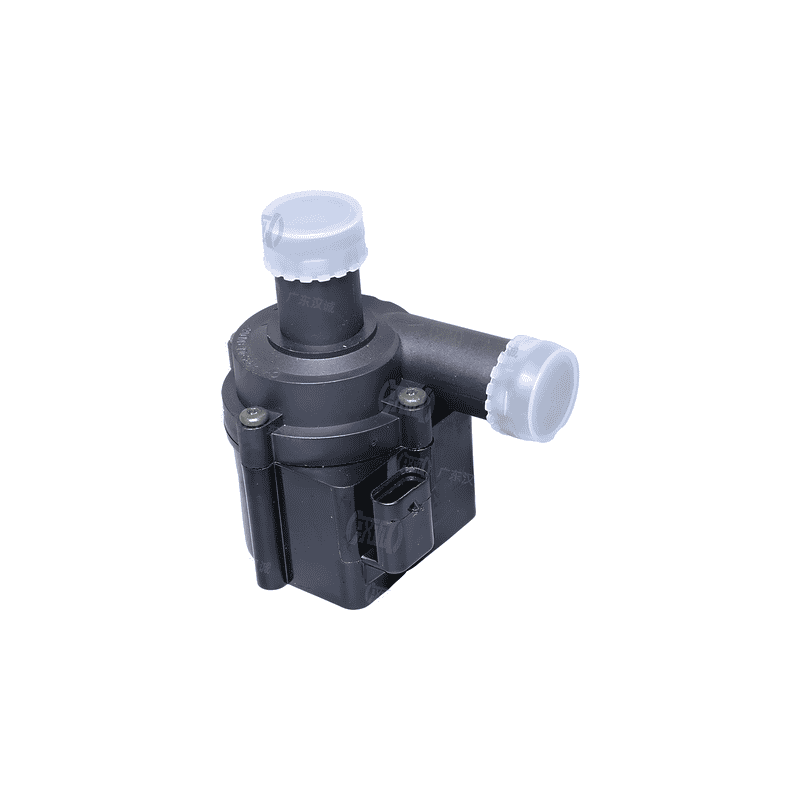 Auxiliary Water Pump
