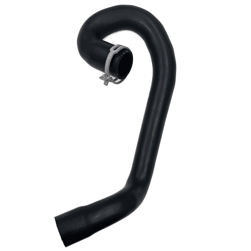 Lower Radiator Hose