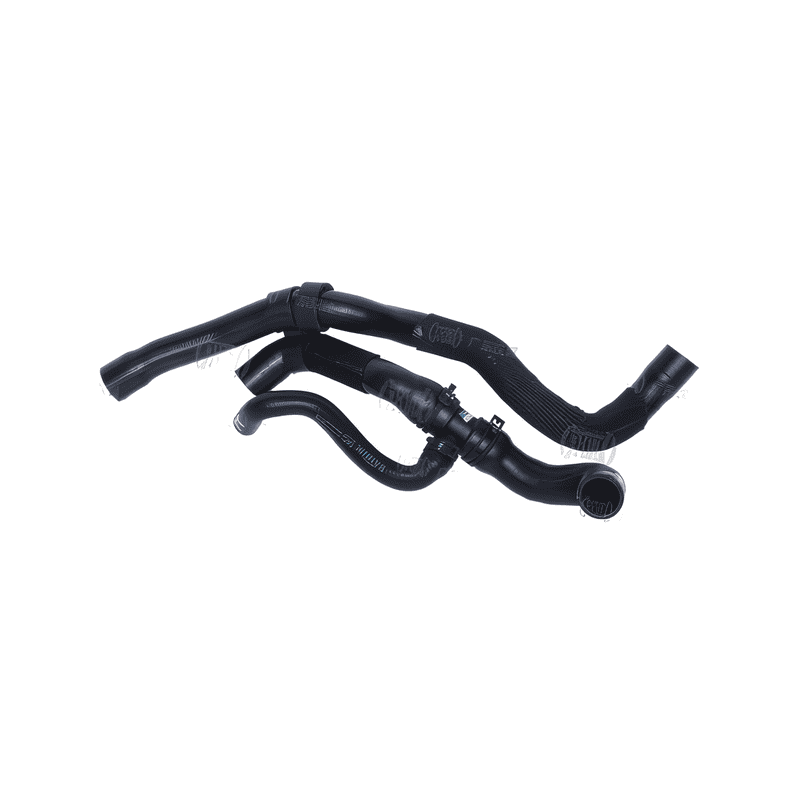 Upper and Lower Radiator Hose Assembly
