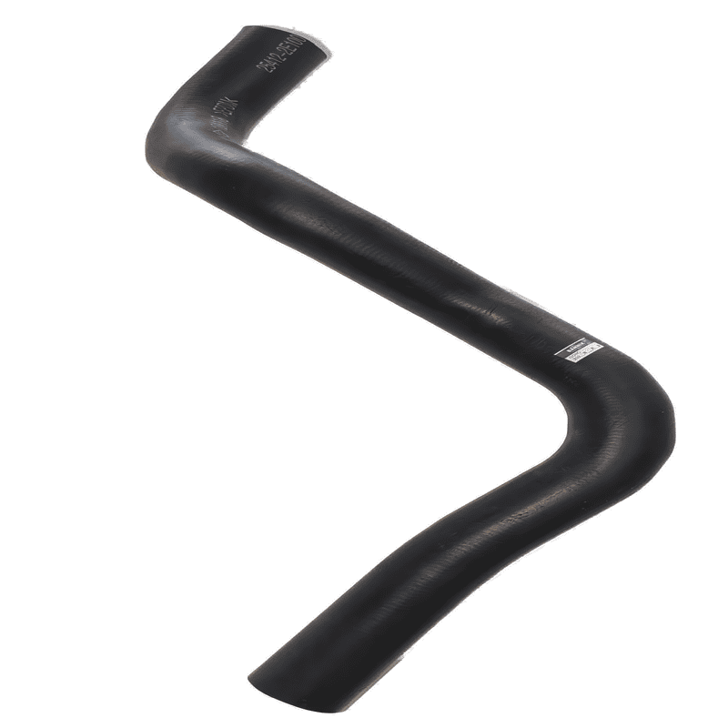 Lower Radiator Hose