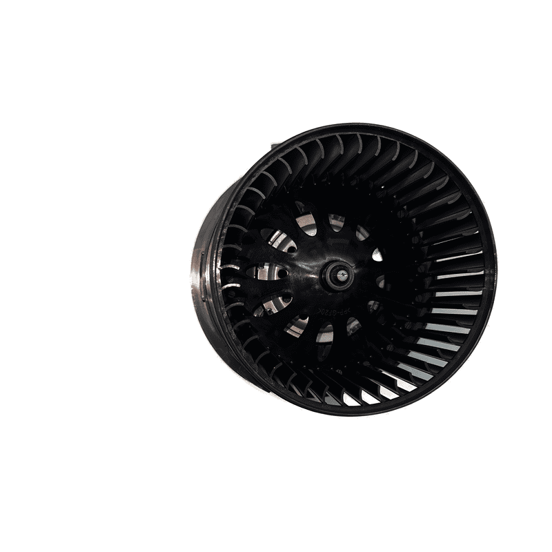 Blower Motor DY7519
